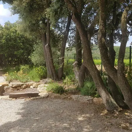 Affittacamere La Signargue